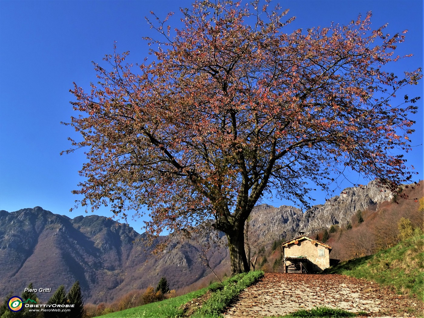 24 Sguardo indietro alla cascina con vista in Cancervo e Venturosa.JPG